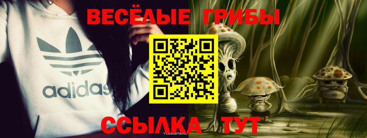 Галлюциногенные грибы GOLDEN TEACHER Сибай